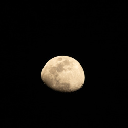 Lune